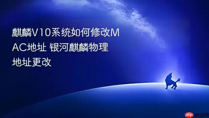 麒麟V10系统如何修改MAC地址 银河麒麟物理地址更改