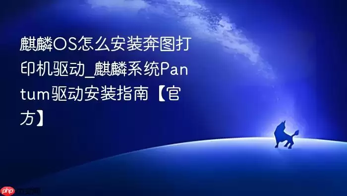 麒麟OS怎么安装奔图打印机驱动_麒麟系统Pantum驱动安装指南【官方】