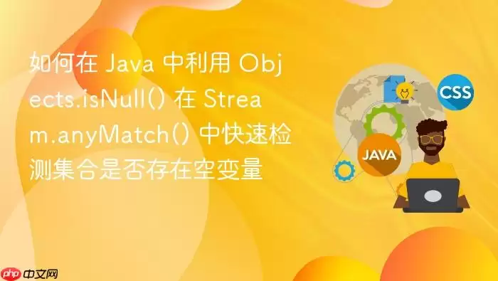 如何在 Java 中利用 Objects.isNull() 在 Stream.anyMatch() 中快速检测集合是否存在空变量