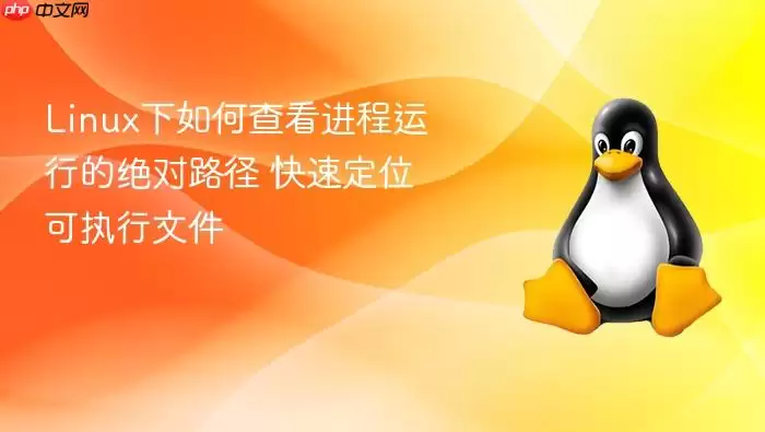 Linux下如何查看进程运行的绝对路径 快速定位可执行文件