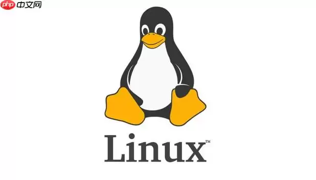 Linux怎么测试网络延迟 Linux下ping和mtr诊断网络详解