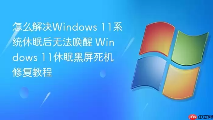 怎么解决Windows 11系统休眠后无法唤醒 Windows 11休眠黑屏死机修复教程