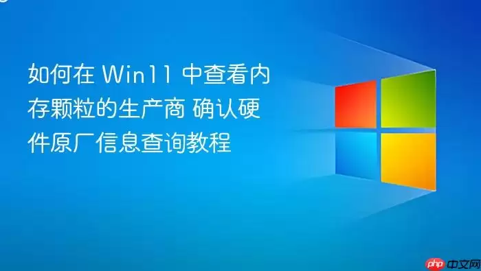 如何在 Win11 中查看内存颗粒的生产商 确认硬件原厂信息查询教程