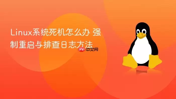 Linux系统死机怎么办 强制重启与排查日志方法