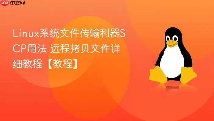 Linux系统文件传输利器SCP用法 远程拷贝文件详细教程【教程】