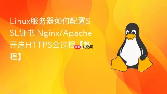Linux服务器如何配置SSL证书 Nginx/Apache开启HTTPS全过程【教程】
