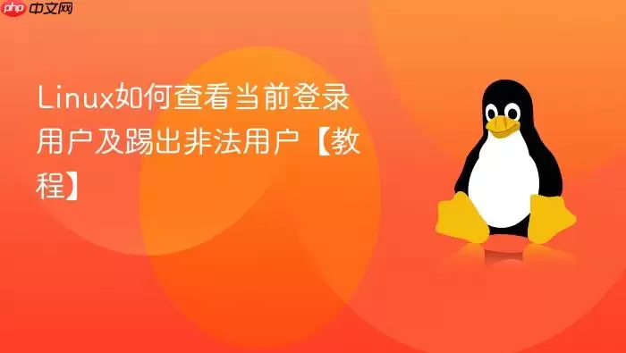 Linux如何查看当前登录用户及踢出非法用户【教程】