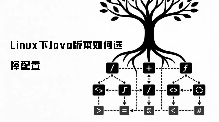 Linux下Ja va版本如何选择配置