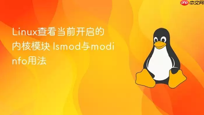 Linux查看当前开启的内核模块 lsmod与modinfo用法