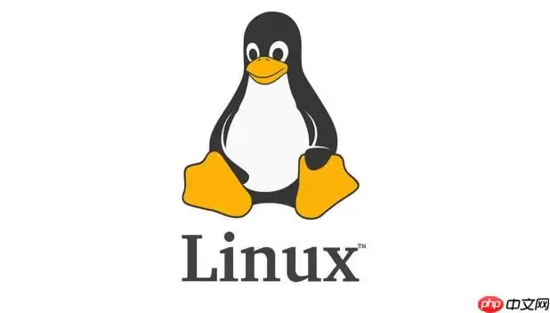 Linux怎么查看CPU是否支持虚拟化 Linux下grep vmx命令详解