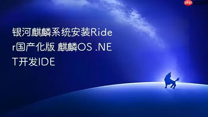 银河麒麟系统安装Rider国产化版 麒麟OS .NET开发IDE