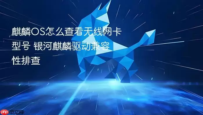 麒麟OS怎么查看无线网卡型号 银河麒麟驱动兼容性排查