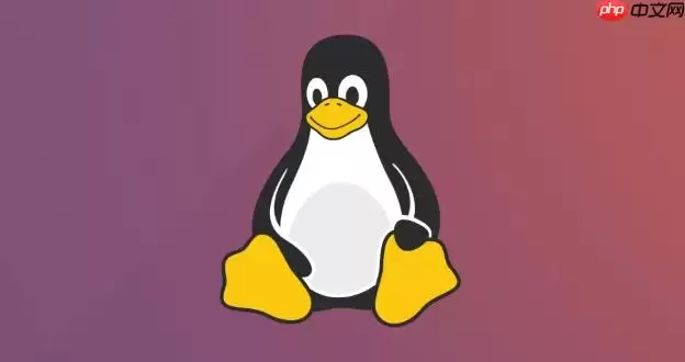 Linux怎么修改网卡MAC地址 Linux下ip link命令修改硬件地址详解
