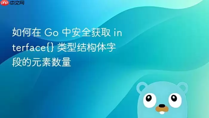 如何在 Go 中安全获取 interface{} 类型结构体字段的元素数量