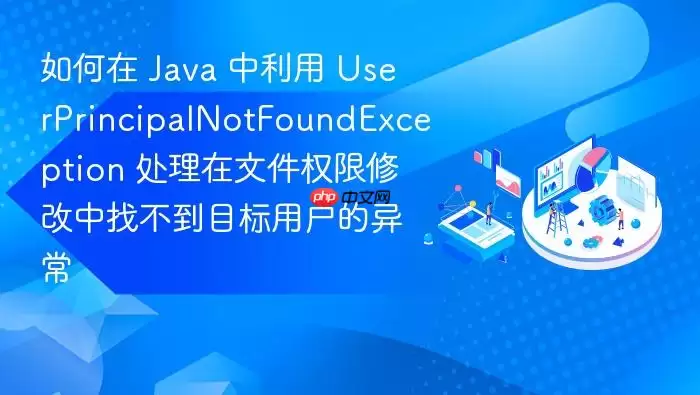 如何在 Ja va 中利用 UserPrincipalNotFoundException 处理在文件权限修改中找不到目标用户的异常
