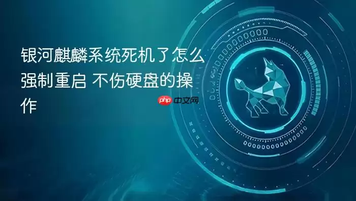 银河麒麟系统死机了怎么强制重启 不伤硬盘的操作