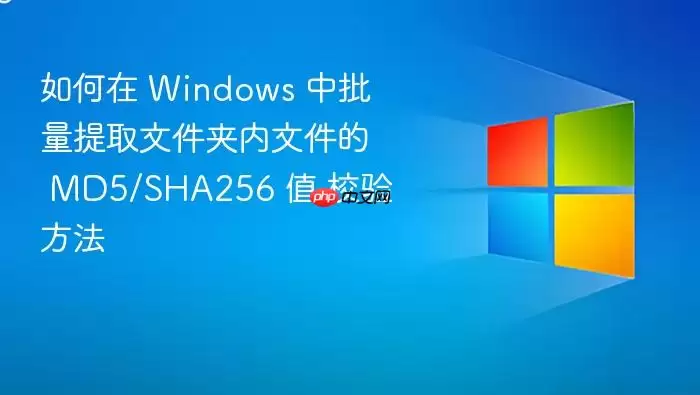 如何在 Windows 中批量提取文件夹内文件的 MD5/SHA256 值 校验方法
