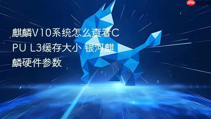 麒麟V10系统怎么查看CPU L3缓存大小 银河麒麟硬件参数