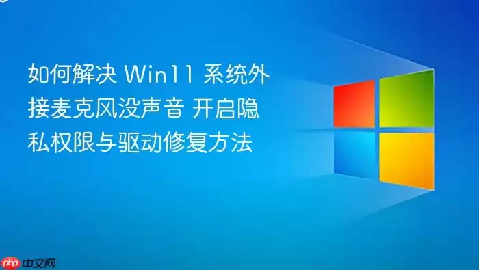 如何解决 Win11 系统外接麦克风没声音 开启隐私权限与驱动修复方法