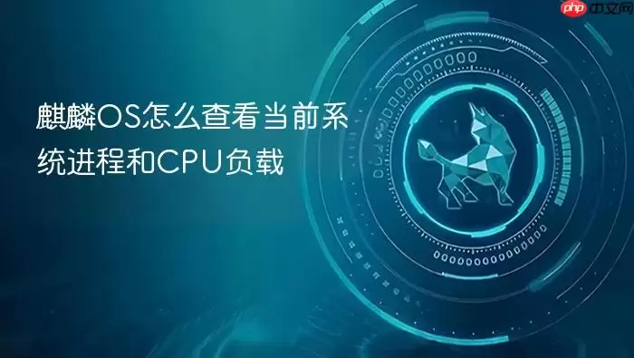 麒麟OS怎么查看当前系统进程和CPU负载