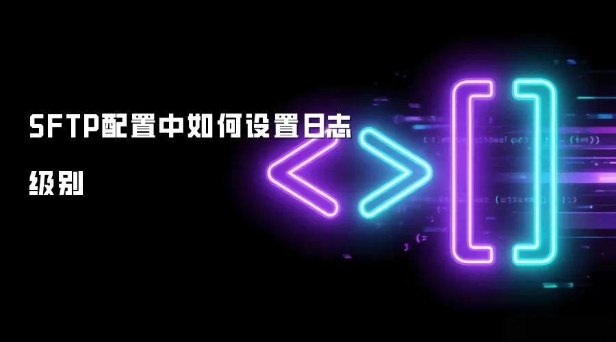 SFTP配置中如何设置日志级别