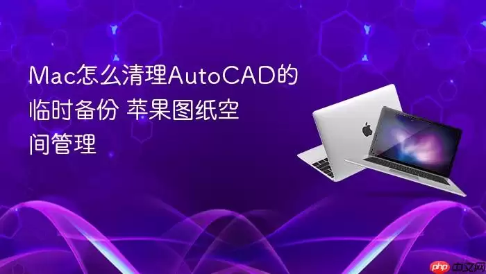 Mac怎么清理AutoCAD的临时备份 苹果图纸空间管理