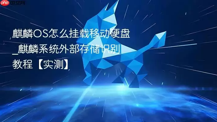 麒麟OS怎么挂载移动硬盘_麒麟系统外部存储识别教程【实测】
