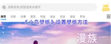 小鸟壁纸如何设置壁纸