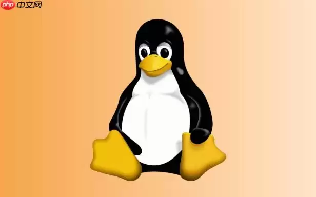 Docker怎么连接多个容器 Docker Network网络模式配置详解