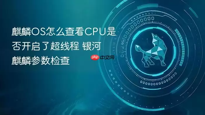 麒麟OS怎么查看CPU是否开启了超线程 银河麒麟参数检查