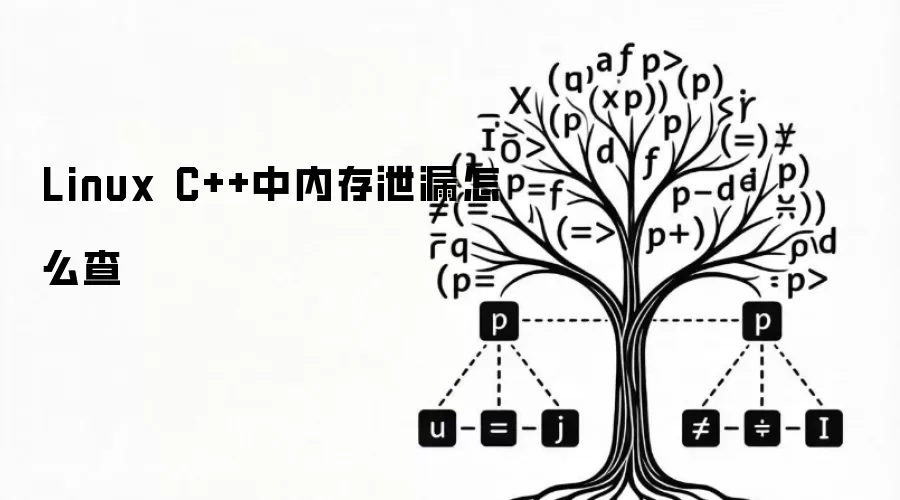 Linux C++中内存泄漏怎么查