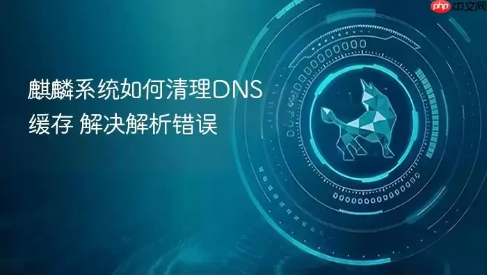 麒麟系统如何清理DNS缓存 解决解析错误