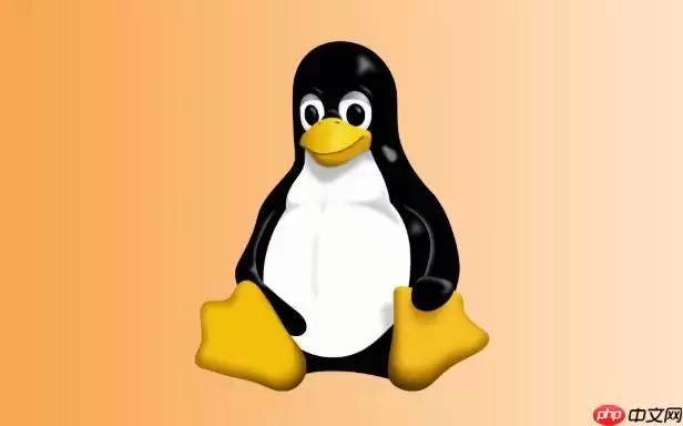 Linux怎么查看PCI设备信息 Linux下lspci硬件检测详解