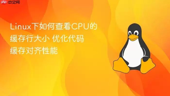 Linux下如何查看CPU的缓存行大小 优化代码缓存对齐性能