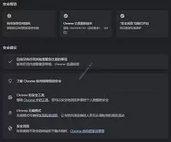 谷歌浏览器如何禁止网站发送通知
