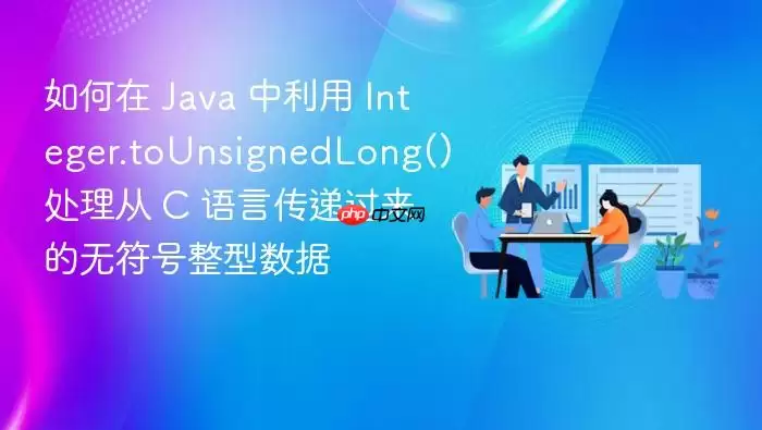 如何在 Ja va 中利用 Integer.toUnsignedLong() 处理从 C 语言传递过来的无符号整型数据
