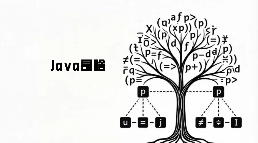 Ja va是啥