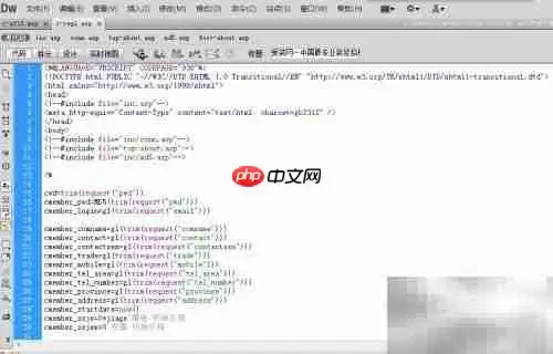 如何打开ASP文件?
