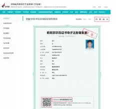 学信网报告在线验证码如何使用