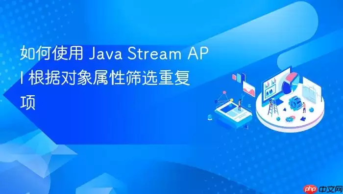 如何使用 Ja va Stream API 根据对象属性筛选重复项