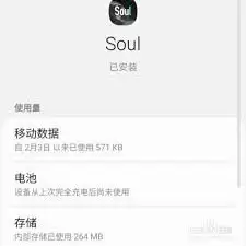 soul怎样才能全部清除应用缓存数据