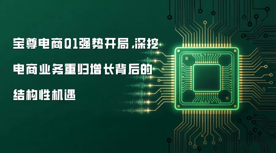 宝尊电商Q1强势开局,深挖电商业务重归增长背后的结构性机遇