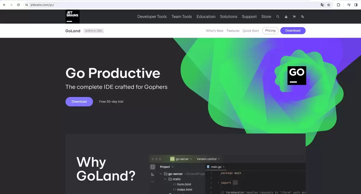 GoLand+CPolar远程开发实战指南:在家也能连公司服务器写代码?