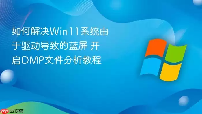 如何解决Win11系统由于驱动导致的蓝屏 开启DMP文件分析教程