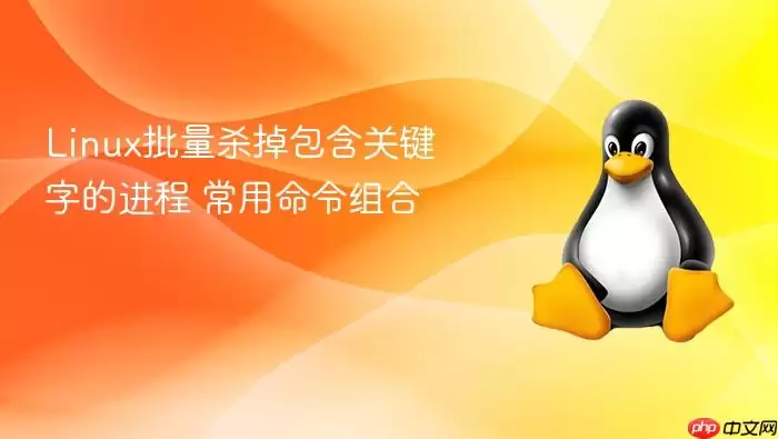 Linux批量杀掉包含关键字的进程 常用命令组合