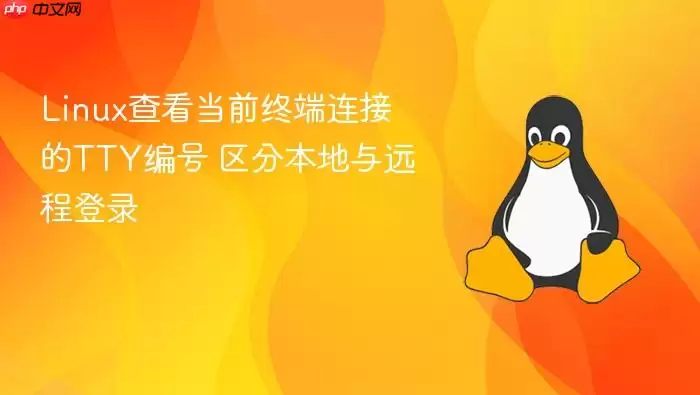 Linux查看当前终端连接的TTY编号 区分本地与远程登录