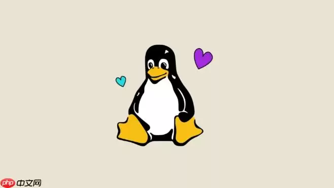 Linux怎么查看系统硬件信息_Linux lshw和dmidecode命令教程【技巧】