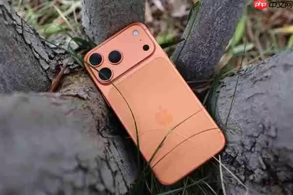 苹果今年不发iPhone 18!