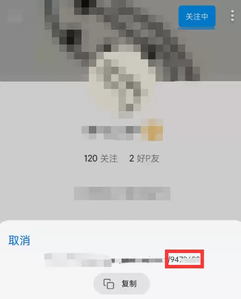 Pixiv应用内分享功能截图,展示链接尾部的作者数字ID