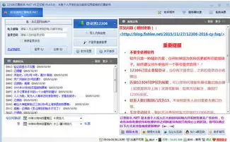 12306购票页面的宠是什么意思